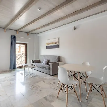 Apartamentos Realejo Granada Centro 3000-3